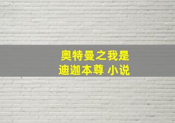 奥特曼之我是迪迦本尊 小说